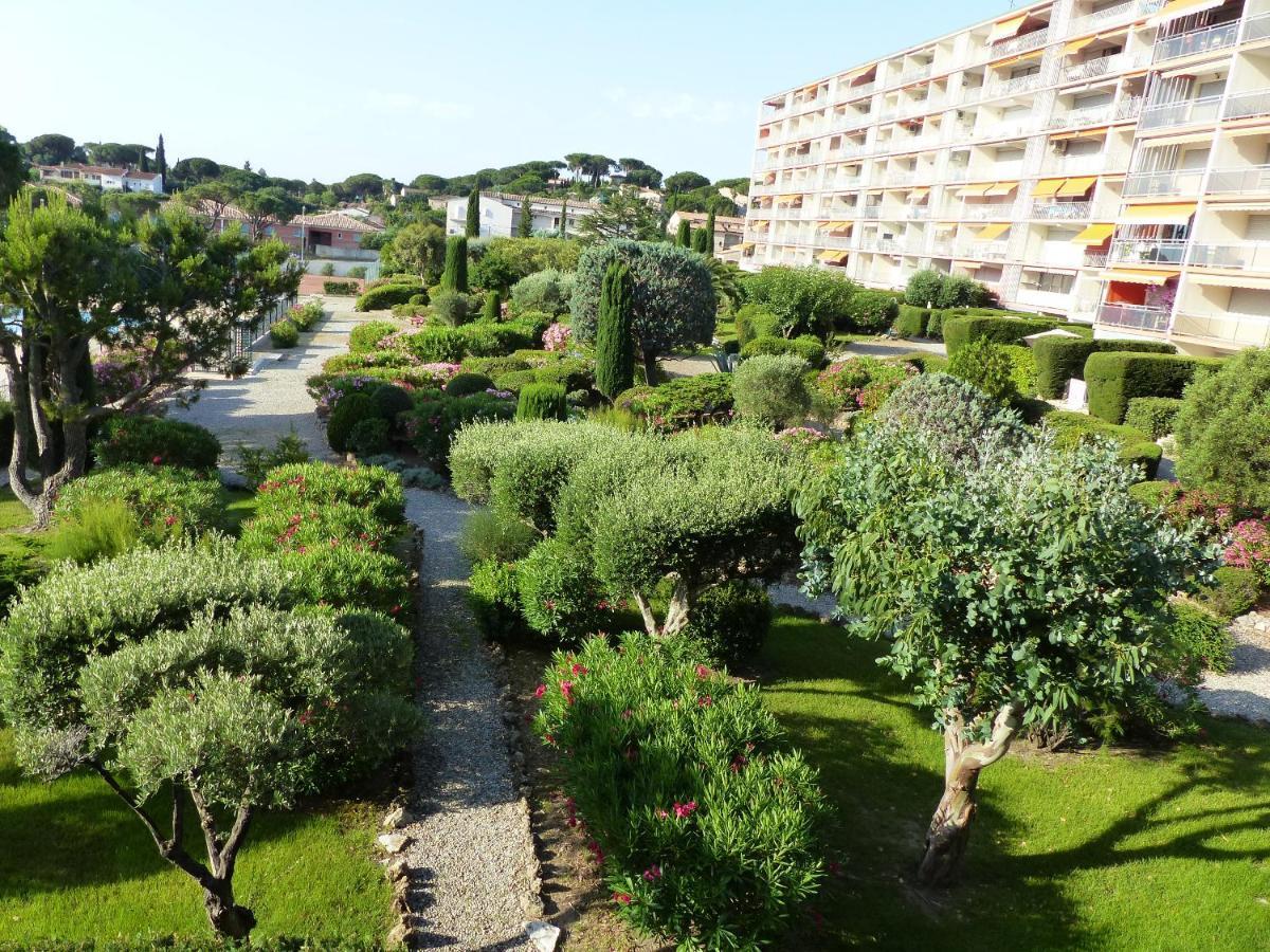 Soleil Du Preconil *